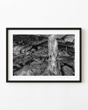 Black and white photograph of a textured rock column inside Conch Bar Cave.