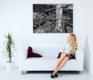 A central rock column divides the shadowed layers of Conch Bar Cave.