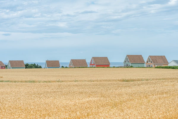 Prince Edward Island cottage homes wheat field wall art