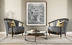 Cougar in bianco e nero | Arte da parete