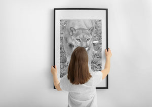 Cougar in bianco e nero | Arte da parete