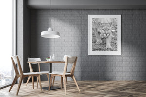 Cougar in bianco e nero | Arte da parete