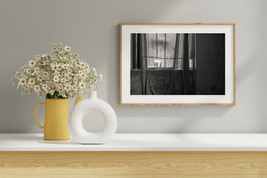 Torn Curtain and Window Light Black and White Photography