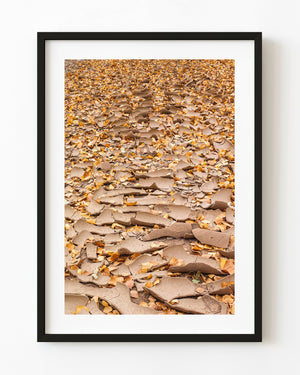 Golden autumn leaves rest across a cracked dry riverbed in a textured vertical photograph.