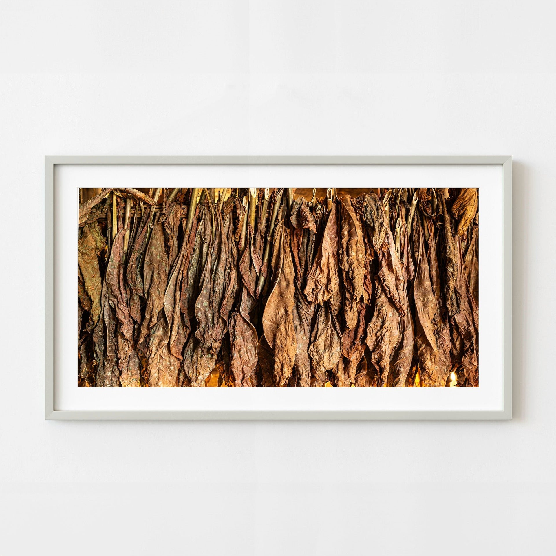 leaf tobacco gresham Raw Cigarette Tobacco Leaf, Tobacco Leaf Cigarette Blends, RYO Tobacco Leaf  - LBs of Tobacco