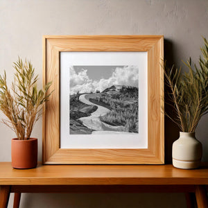 Black and white mountain photograph combining a sweeping snow line, conifer trees and a cloud-filled sky.