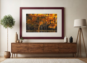 Orange and gold autumn branches spread over still water with faint reflected light.