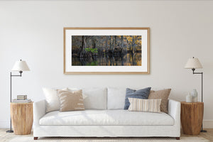A moss-covered cypress grove reflects across quiet water beneath scattered autumn foliage.