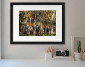 Cypress Grove and Spanish Moss | Photo Art Print fine art photographic print