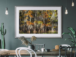 Cypress Grove and Spanish Moss | Photo Art Print fine art photographic print