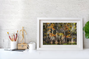Cypress Grove and Spanish Moss | Photo Art Print fine art photographic print