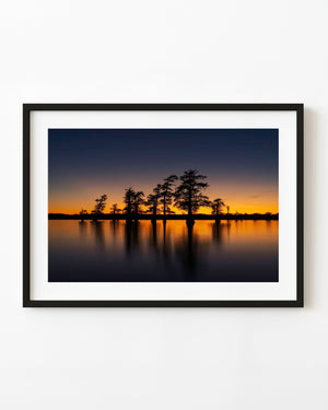 Cypress silhouettes rise against orange sunset light and blue twilight at Caddo Lake.