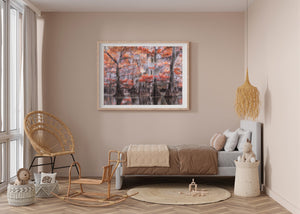 Reflected cypress trees photography