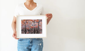 Subtle fall colours wall art