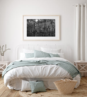 Cypress Trees and Spanish Moss Swamp | Wall Art