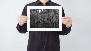 Cypress Trees and Spanish Moss Swamp | Wall Art