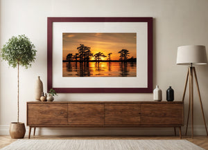 Caddo Lake Cypress Trees Against a Golden Sunset
