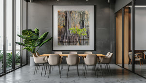 Soft water reflections repeat the grey trunks and green leaves of a flooded cypress grove.