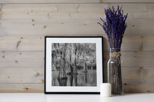 Dense branches and Spanish moss surround broad cypress trunks in a Texas swamp.