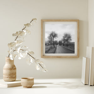 Czech countryside photograph showing fence posts, open fields and bare trees along a quiet lane.