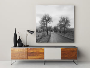 An empty country road narrows towards a bend beneath spreading winter branches.