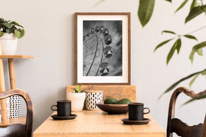 A tall view of Ferris wheel cars contrasts simple curved shapes with a dense web of spokes.