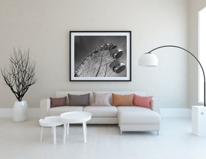 Iconic Ferris wheel amusement park Sydney