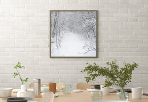 Fine dark branches and a few brown leaves interrupt a quiet white woodland scene.