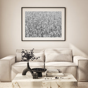 Nature minimaliste en noir et blanc Art mural