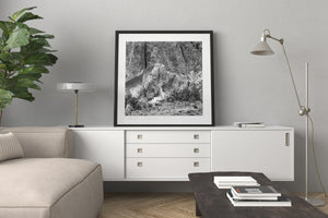 Pale rock shoulders contrasting with a cracked desert cliff in monochrome.