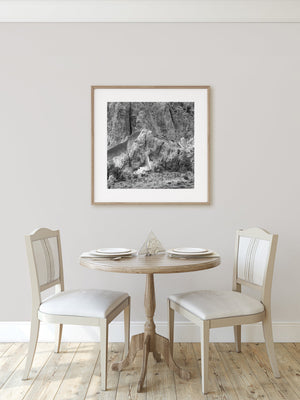 Eroded desert formations and small trees in a detailed black and white landscape.