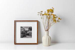 Black and white view into a rocky desert passage with tangled shrubs.