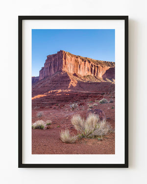 Pale desert shrubs beneath sunlit red rock cliffs and a clear blue sky.