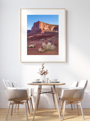 Red and orange rock faces rising behind delicate desert vegetation.