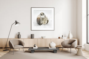 fine art animal photo of Antarctic seal