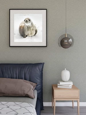 seal with expressive face in snowy habitat