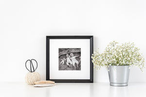 Weathered dolls and rough wood grain in a detailed black and white photograph.