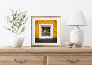 Dog looking out from a white window frame in a yellow facade