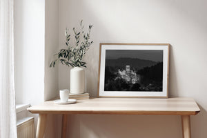 Bran Castle illuminated by night lights