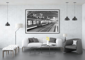 Railway platforms and roof beams in a monochrome Dresden photograph