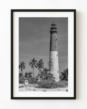 Dry Tortugas lighthouse above palms in black and white
