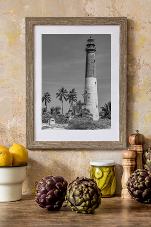 Dry Tortugas lighthouse tower above sand and palm fronds