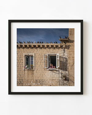 Woman and cat at windows beneath rooftop pigeons in Dubrovnik, Croatia
