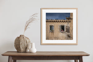 Woman at a Dubrovnik window with a cat in the adjacent opening