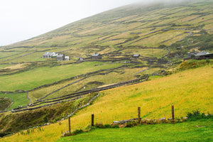 Stone-walled fields across a green Dunmore Head hillside