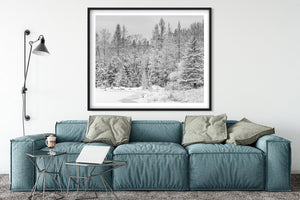 Snow-laden trees above a quiet pond in a Canadian forest