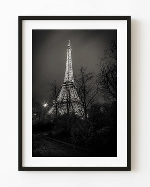 Illuminated Eiffel Tower seen through bare winter trees above a dark wet path in black and white