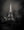 Paris night photograph of the Eiffel Tower framed by bare branches and a wet path