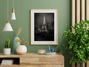 Monochrome Eiffel Tower rising above a shadowed Paris path after rain