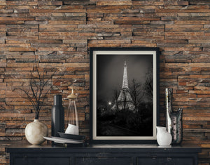 Black and white Paris landscape with a starburst lamp and Eiffel Tower through trees